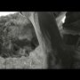 A cheval sur le tigre - Menu DVD du 13/05/2008