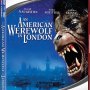 An American Werewolf in London - Jaquette du 26/06/2008 An American Werewolf in London - Jaquette du 26/06/2008