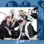 Bleach - Box 5 - Menu DVD du 05/07/2008 Bleach - Box 5 - Menu DVD du 05/07/2008