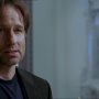 Californication - Saison 1 - Menu DVD du 03/07/2008