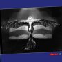 Ce n'est pas un péché - Menu DVD du 27/06/2008