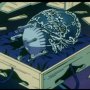Détective Conan : Le Magicien de la Fin de Siècle - Menu DVD du 09/04/2008
