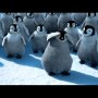 Happy Feet - Blu-Ray - Menu DVD du 21/12/2008 Happy Feet - Blu-Ray - Menu DVD du 21/12/2008
