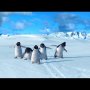 Happy Feet - Blu-Ray - Menu DVD du 21/12/2008 Happy Feet - Blu-Ray - Menu DVD du 21/12/2008
