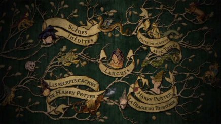 Harry Potter et l Ordre du Phénix - Edition Collector