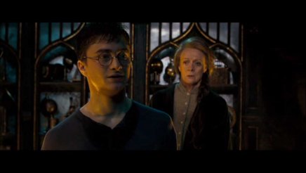 Harry Potter et l Ordre du Phénix - Edition Simple