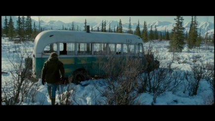 Into the wild - Collector
