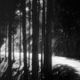 Kenji Mizoguchi : les années 30 - Menu DVD du 02/05/2008