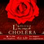 L'Amour aux temps du choléra - Menu DVD du 23/09/2008