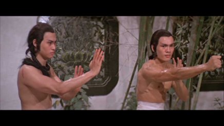 La Fureur Shaolin