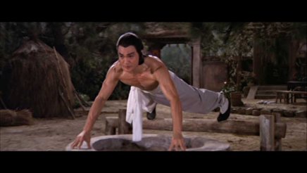 La Fureur Shaolin
