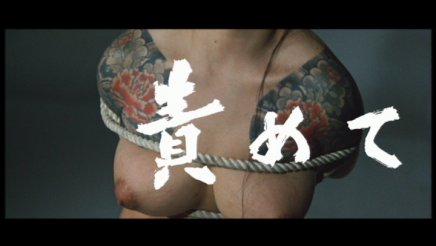 Femmes Criminelles - Volume 1 : Sexe et Châtiment au Japon