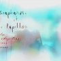 Le Scaphandre et le Papillon - Menu DVD du 07/01/2008