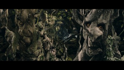Le Seigneur des Anneaux : analyse de l'image en Blu Ray