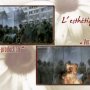Le Vieux Jardin - Menu DVD du 31/03/2008