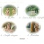 Les Amours d'Astrée et de Céladon - Menu DVD du 08/04/2008
