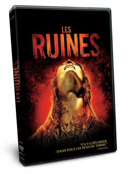 Test DVD Test DVD Les Ruines