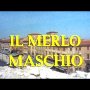 Ma femme est un violon - Menu DVD du 06/06/2008