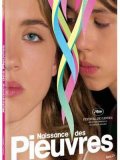 Naissance des pieuvres