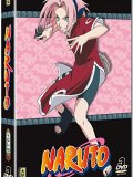 Naruto - Coffret 16