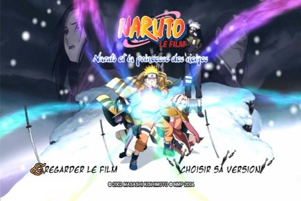 Naruto enfin les longs métrages !