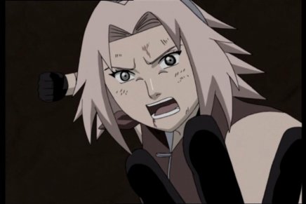 Naruto Shippuden - Episodes 234 à 246