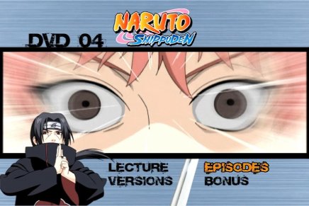 Naruto Shippuden - Coffret 2