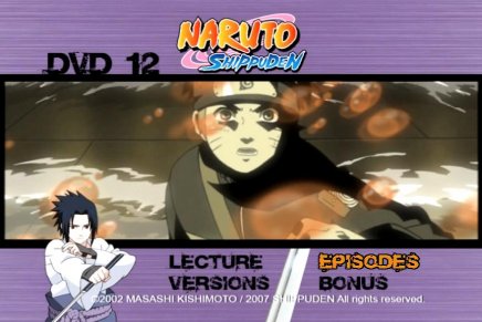 Naruto Shippuden - Coffret 4