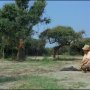 Nos héros réussiront-ils à retrouver leur ami mystérieusement disparu en Afrique ? - Menu DVD du 06/12/2007