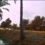 Nos héros réussiront-ils à retrouver leur ami mystérieusement disparu en Afrique ? - Menu DVD du 06/12/2007