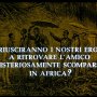 Nos héros réussiront-ils à retrouver leur ami mystérieusement disparu en Afrique ? - Menu DVD du 06/12/2007