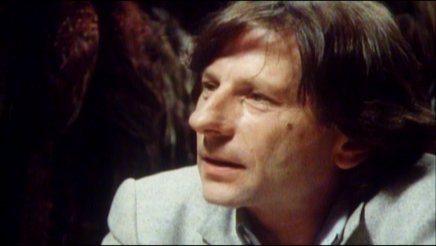 Roman Polanski : wanted and desired