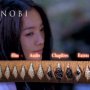 Shinobi - Edition Collector - Menu DVD du 07/11/2007