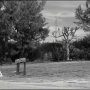 Stranger than paradise - Menu DVD du 05/05/2008