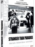 Stranger than paradise