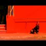 Suspiria : Collector Suspiria : Collector