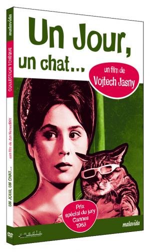 Test DVD Un jour, un chat