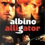 Albino Alligator - Affiche du 09/04/2008