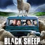Black Sheep - Affiche du 26/02/2008