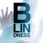 La sortie de Blindness repoussée - Affiche du 30/05/2008