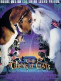 Comme chiens et chats