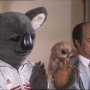 Executive Koala - Menu DVD du 11/12/2007