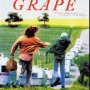 Gilbert Grape - Affiche du 05/12/2007