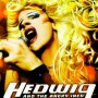 Hedwig and the angry inch - Affiche du 13/05/2008 Hedwig and the angry inch - Affiche du 13/05/2008