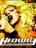Hedwig and the angry inch