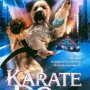 La vidéo con du jour : Karaté Dog - Affiche du 06/03/2008
