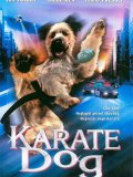 Karaté dog