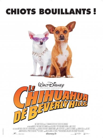 Le Chihuahua de Beverly Hills : bande-annonce et teasers