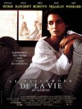 Le Patchwork de la Vie