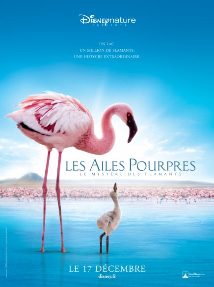 Les Ailes Pourpres : bande-annonce